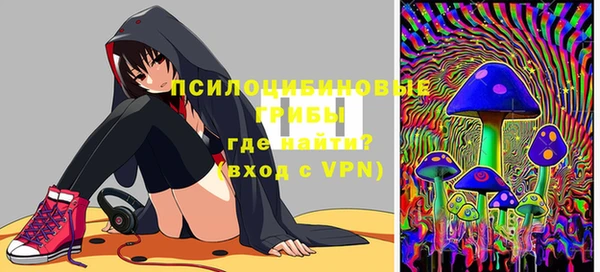 mdpv Каменка