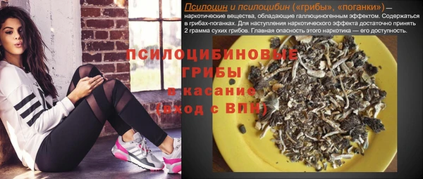 бошки Каменногорск