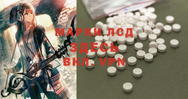 mdpv Каменка